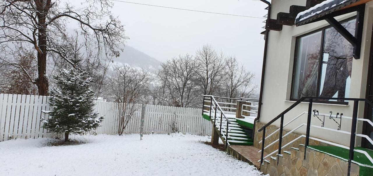Casa Yla Villa Piatra Neamţ Buitenkant foto