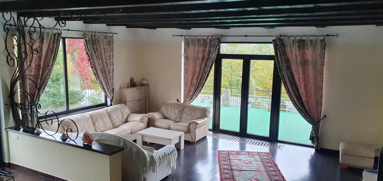 Casa Yla Villa Piatra Neamţ Buitenkant foto