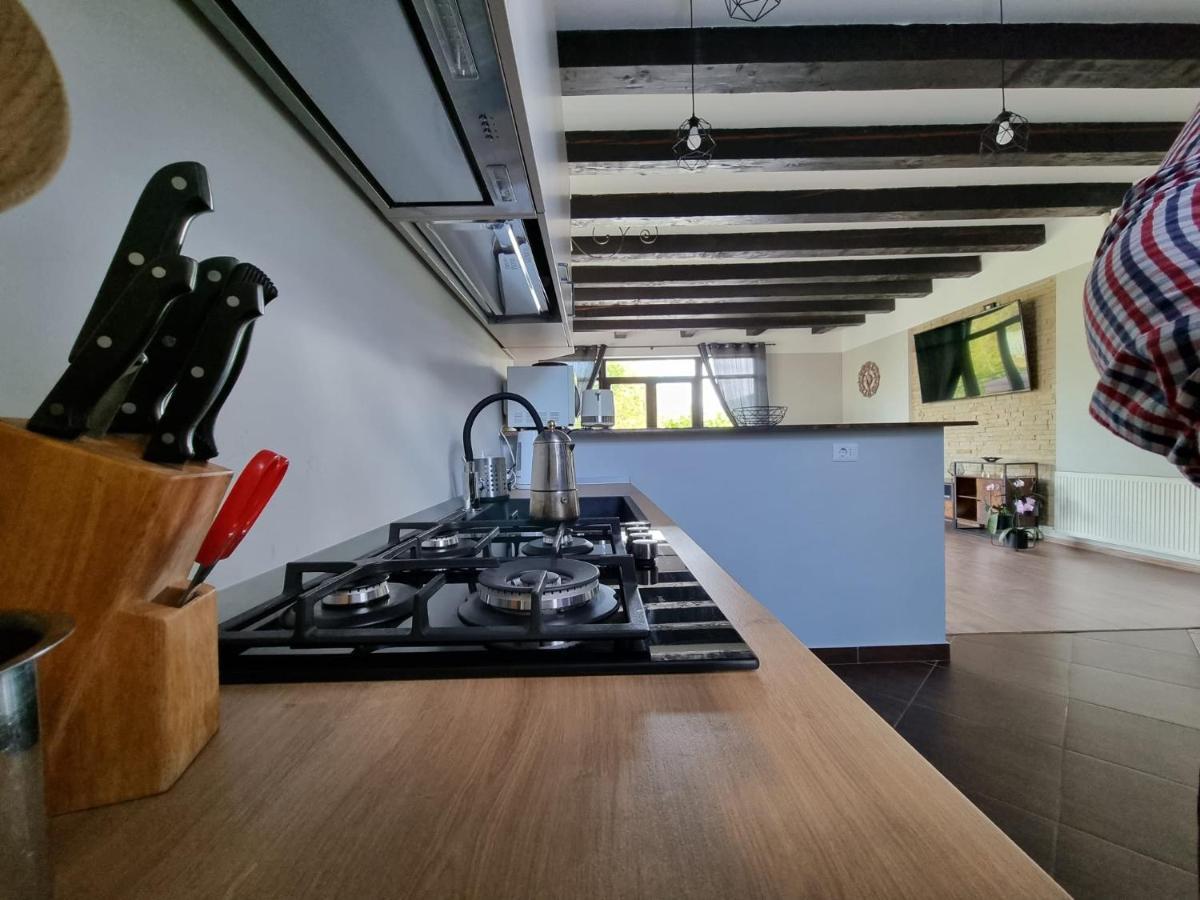 Casa Yla Villa Piatra Neamţ Buitenkant foto
