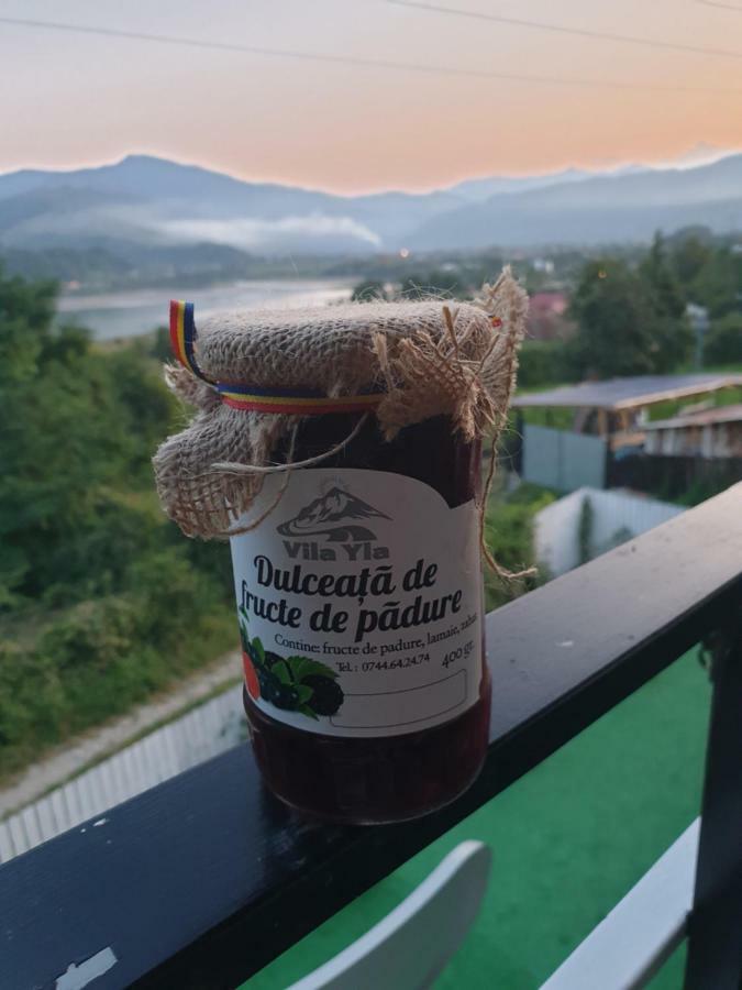 Casa Yla Villa Piatra Neamţ Buitenkant foto